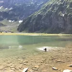 Wildkogelblick
