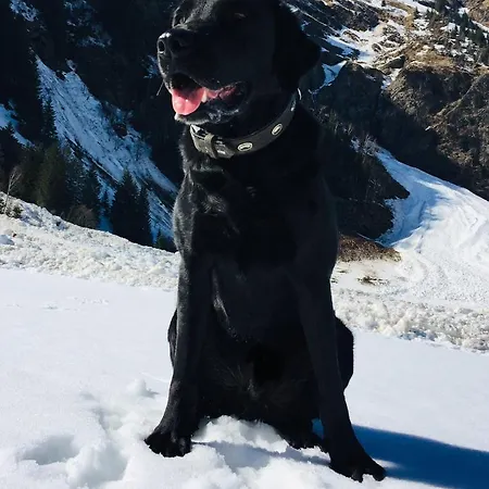 Wildkogelblick Apartament Bramberg am Wildkogel