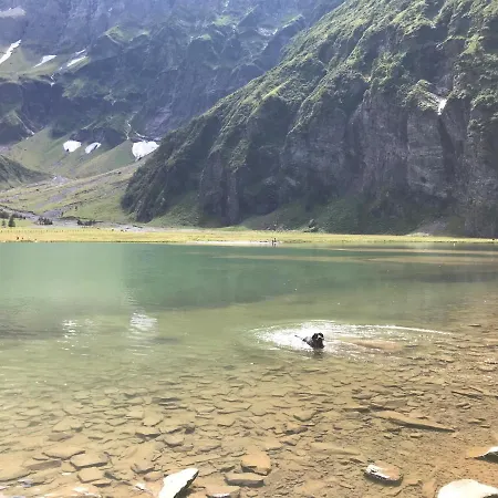 Wildkogelblick