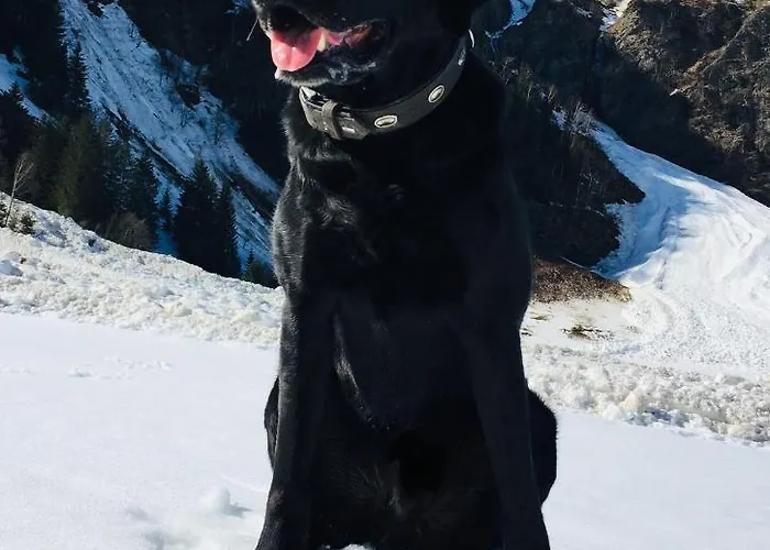 Wildkogelblick Apartment Bramberg am Wildkogel