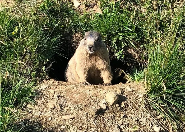 Wildkogelblick * Bramberg am Wildkogel
