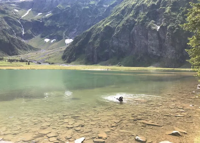 Wildkogelblick